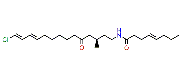 (1E)-Pitiamide B